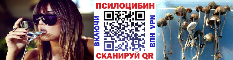 Псилоцибиновые грибы мухоморы купить Осинники